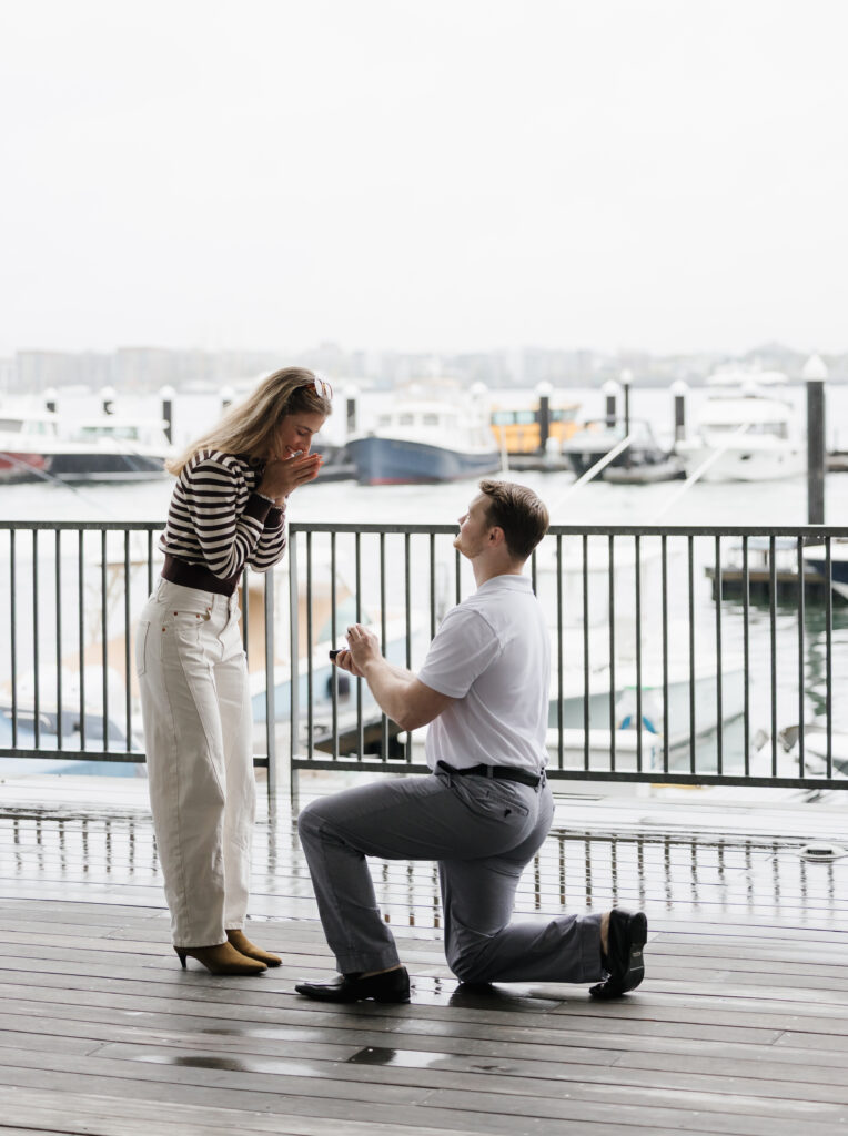 Surprise proposal Boston